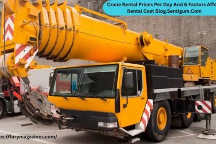 Crane Rental Prices Per Day And 6 Factors Affect Rental Cost Blog.Sentigum.Com